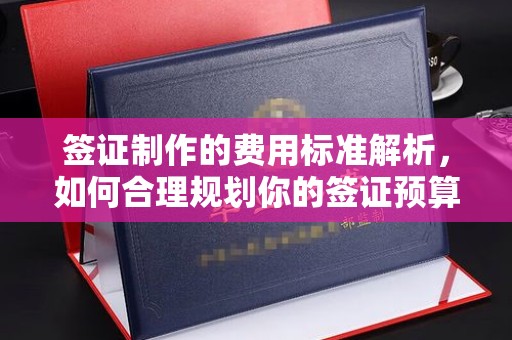 中方签证制作的费用标准解析，如何合理规划你的签证预算