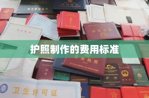 中方护照制作的费用标准