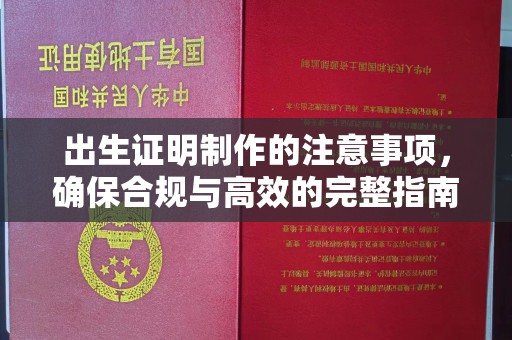 中方出生证明制作的注意事项，确保合规与高效的完整指南