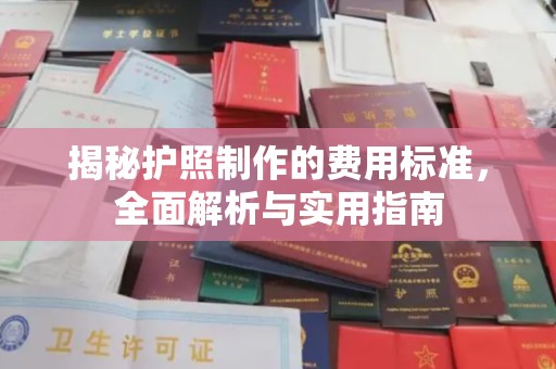 中方揭秘护照制作的费用标准，全面解析与实用指南