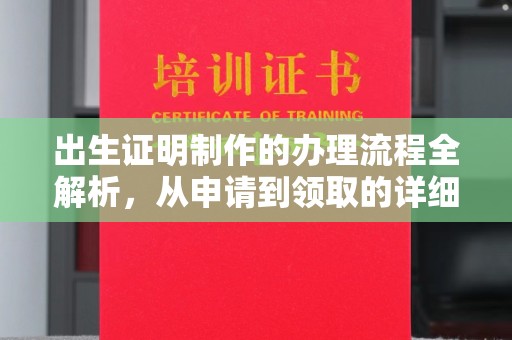 中方出生证明制作的办理流程全解析，从申请到领取的详细指南