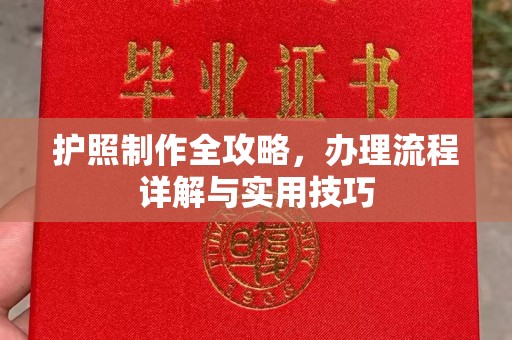 中方护照制作全攻略，办理流程详解与实用技巧